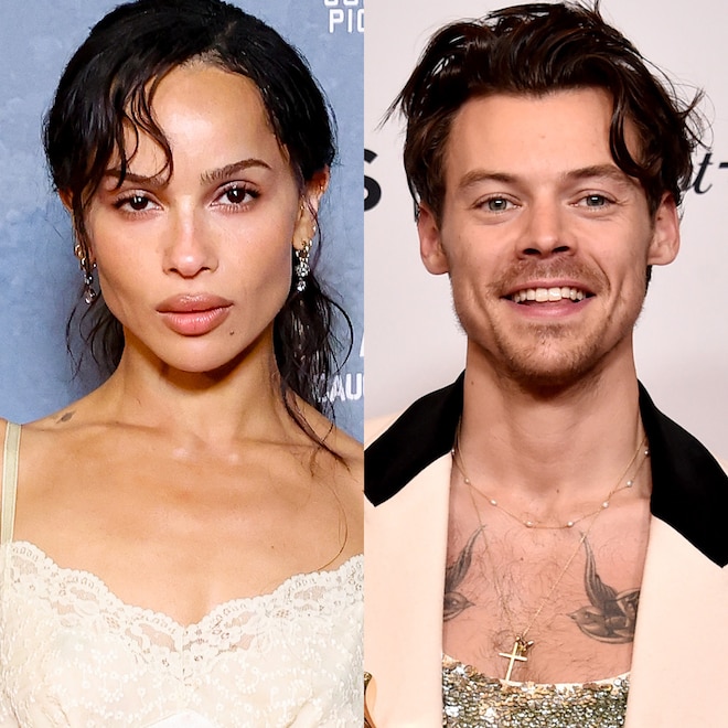 Proof Harry Styles & Zoë Kravitz's Romance Is Blossoming in NYC